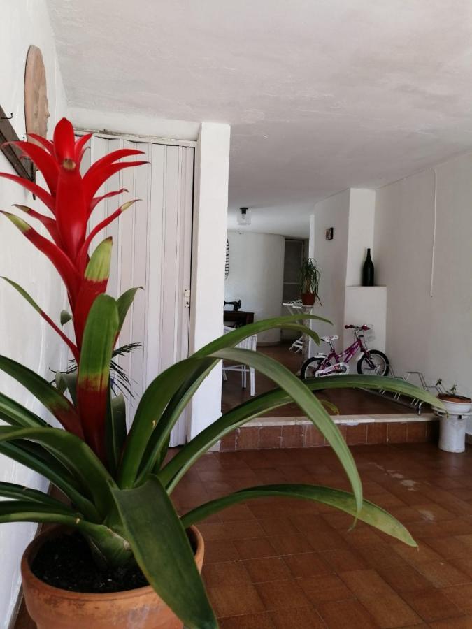Villa Livia ヴィッランマレ エクステリア 写真